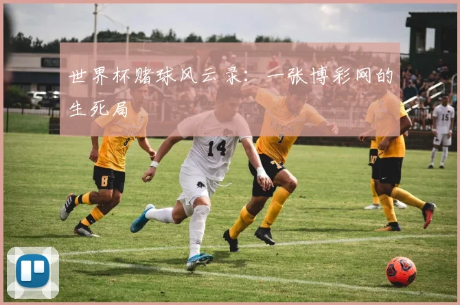 世界杯赌球风云录：一张博彩网的生死局