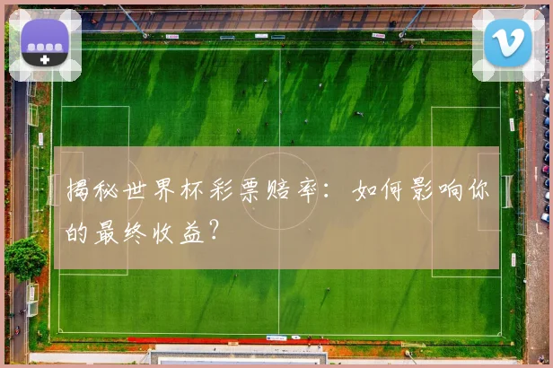 揭秘世界杯彩票赔率：如何影响你的最终收益？