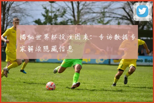 揭秘世界杯投注图表：专访数据专家解读隐藏信息