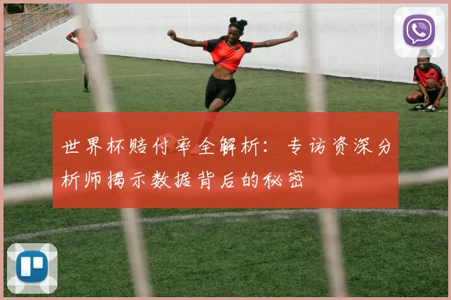 世界杯赔付率全解析：专访资深分析师揭示数据背后的秘密