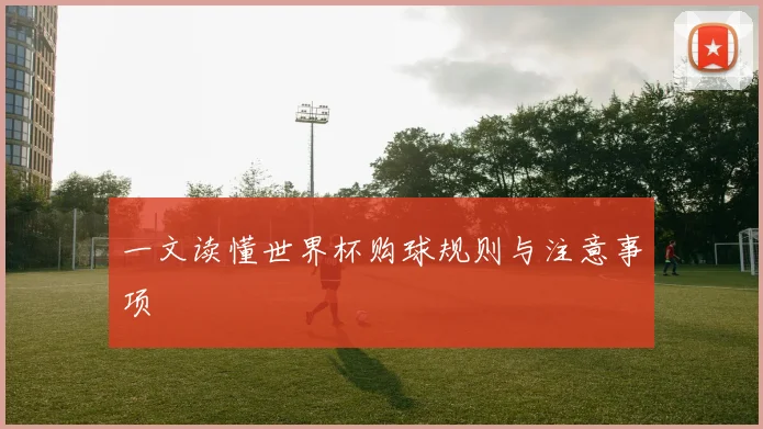 一文读懂世界杯购球规则与注意事项