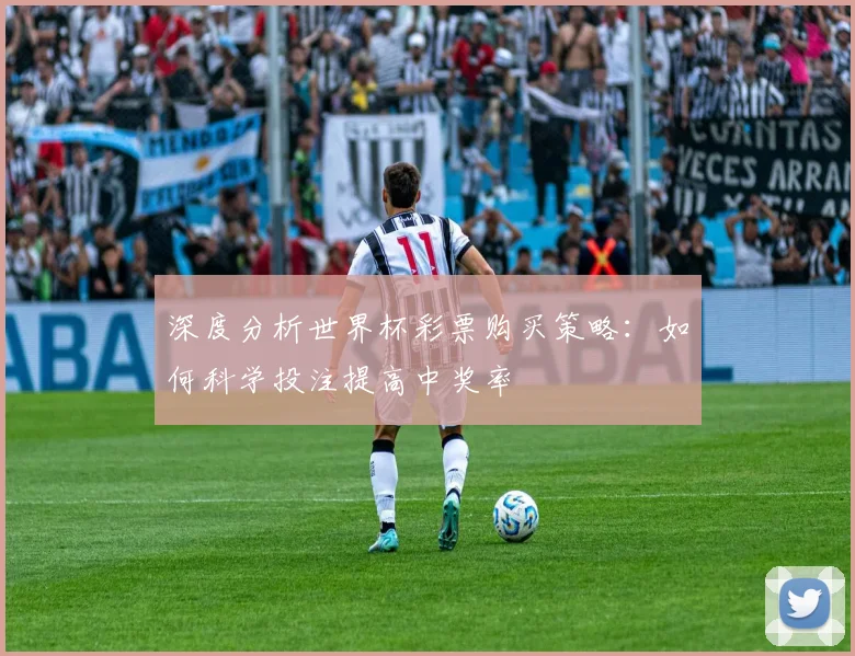 深度分析世界杯彩票购买策略:如何科学投注提高中奖率