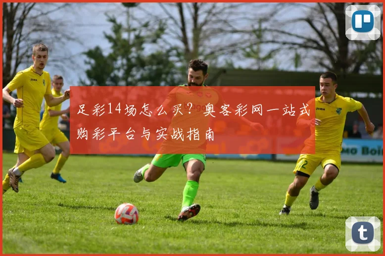 足彩14场怎么买?奥客彩网一站式购彩平台与实战指南